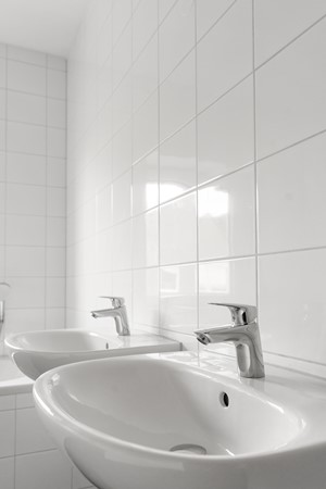 31-Moerasorchidee 29 - Lelystad.JPG